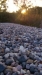 wp_20130904_041