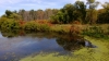 wp_20130908_024