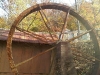 img00709-20111031-1236