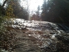 img00714-20111031-1237